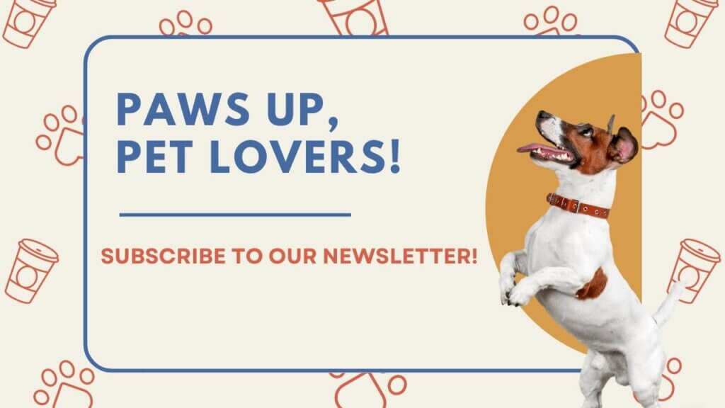 LifeOfPawsAndClaws Newsletter Subscribe