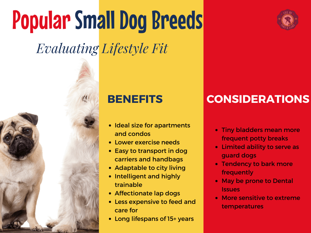 Pros & Cons - Popular Small Dog Breeds
