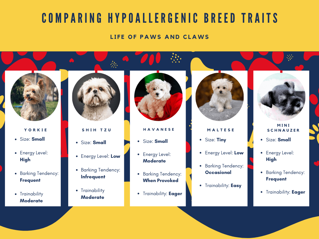 Comparing Hypoallergenic Breed Traits