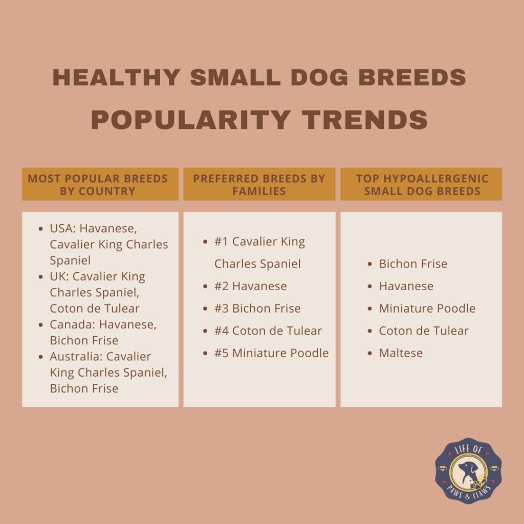 Healthiest Small Dog Breeds - Popularity Trends Infographic