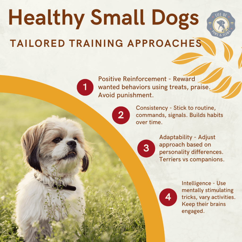 Healthy Small Dog Breeds - Tailored Training Approaches