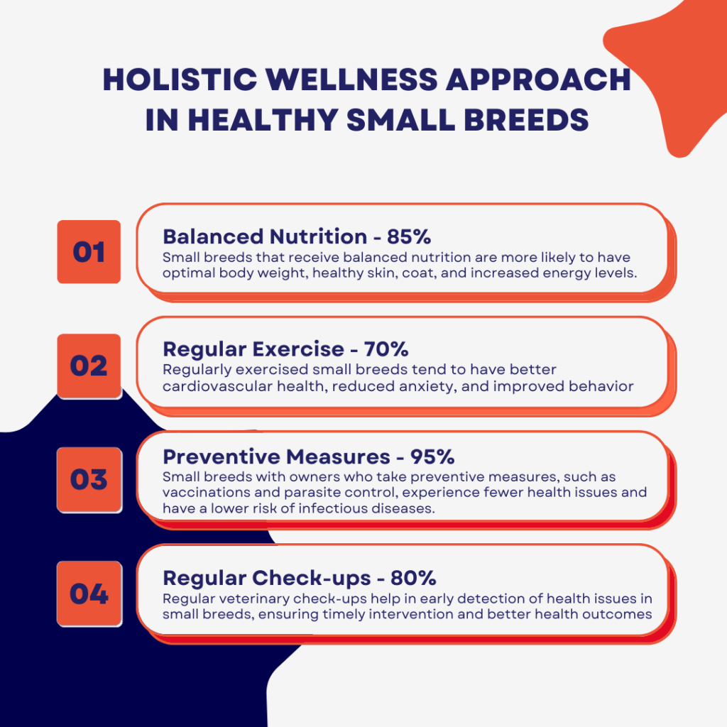 Holistic Wellness Approach in Healthiest Small Dog Breeds