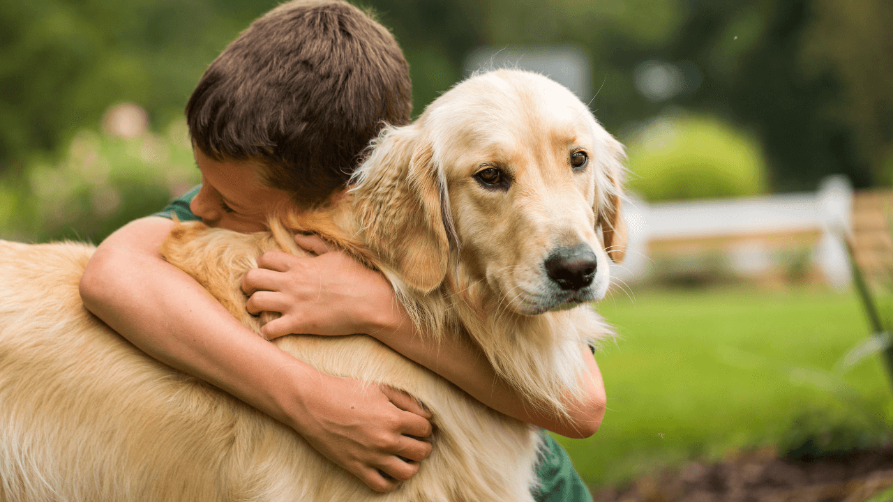 The Top 10 Smartest Dog Breeds Work Smarter, Not Harder - Golden Retriever