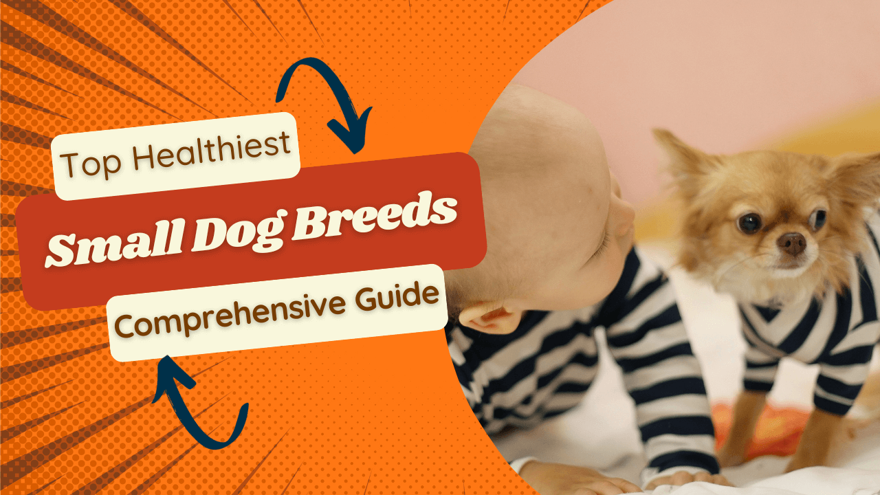 Top Healthiest Small Dog Breeds A Comprehensive Guide for Pet Lovers