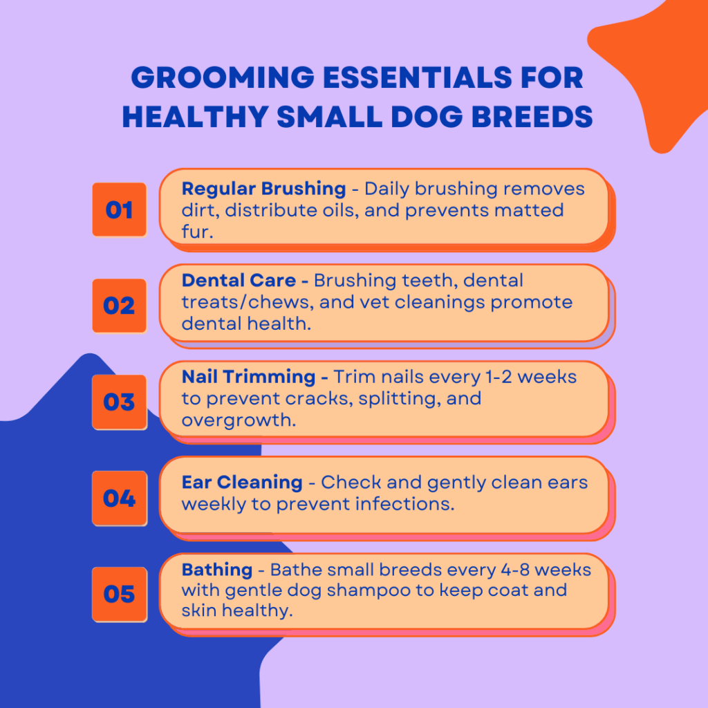 grooming essentials for healthiest small dog breeds - Infographic