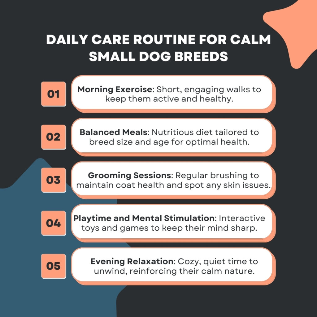 Daily Care Routine for Calm Small Dog Breeds