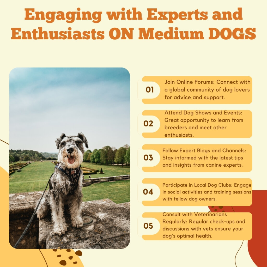 Engaging with Experts and Enthusiasts On Medium Size Dogs