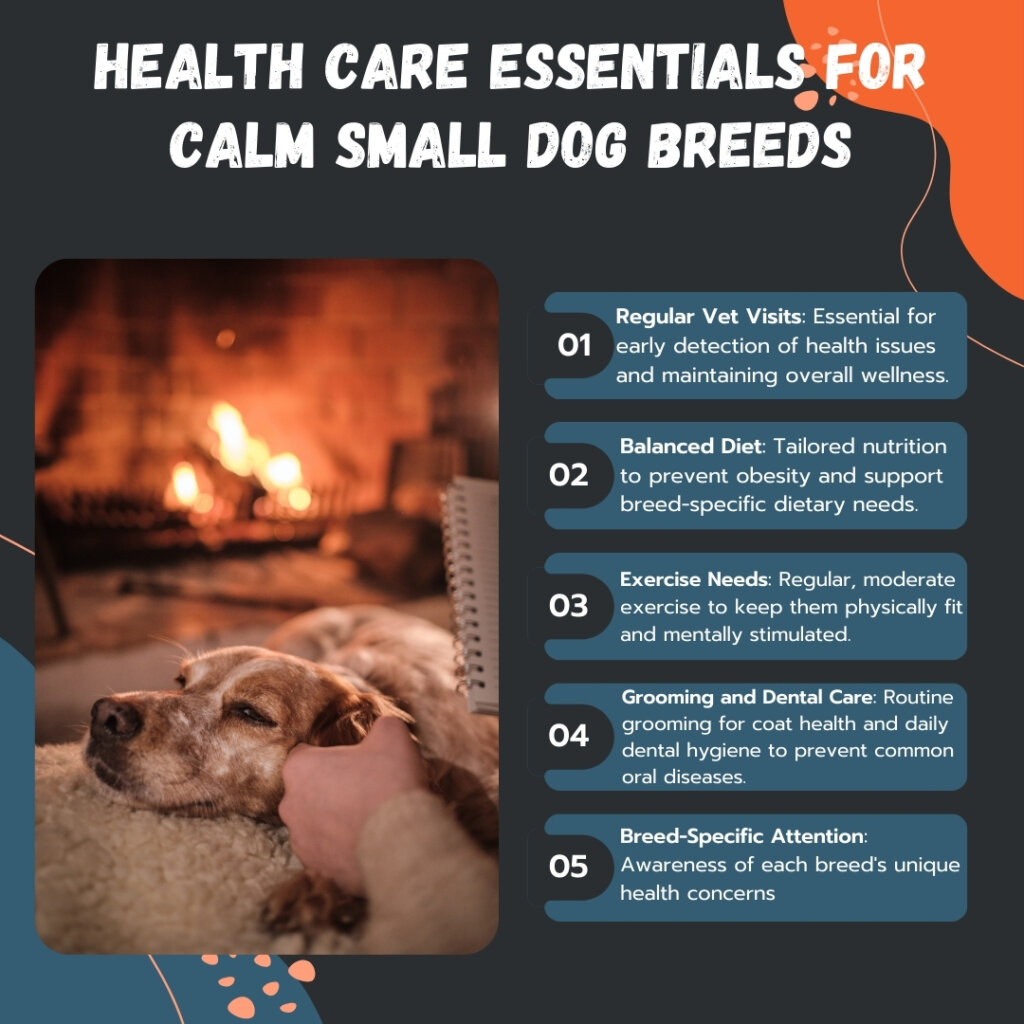 Health Care Essentials for Calm Small Dog Breeds