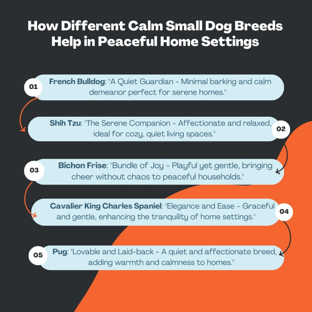 How Different Calm Small Dog Breeds Help in Peaceful Home Settings