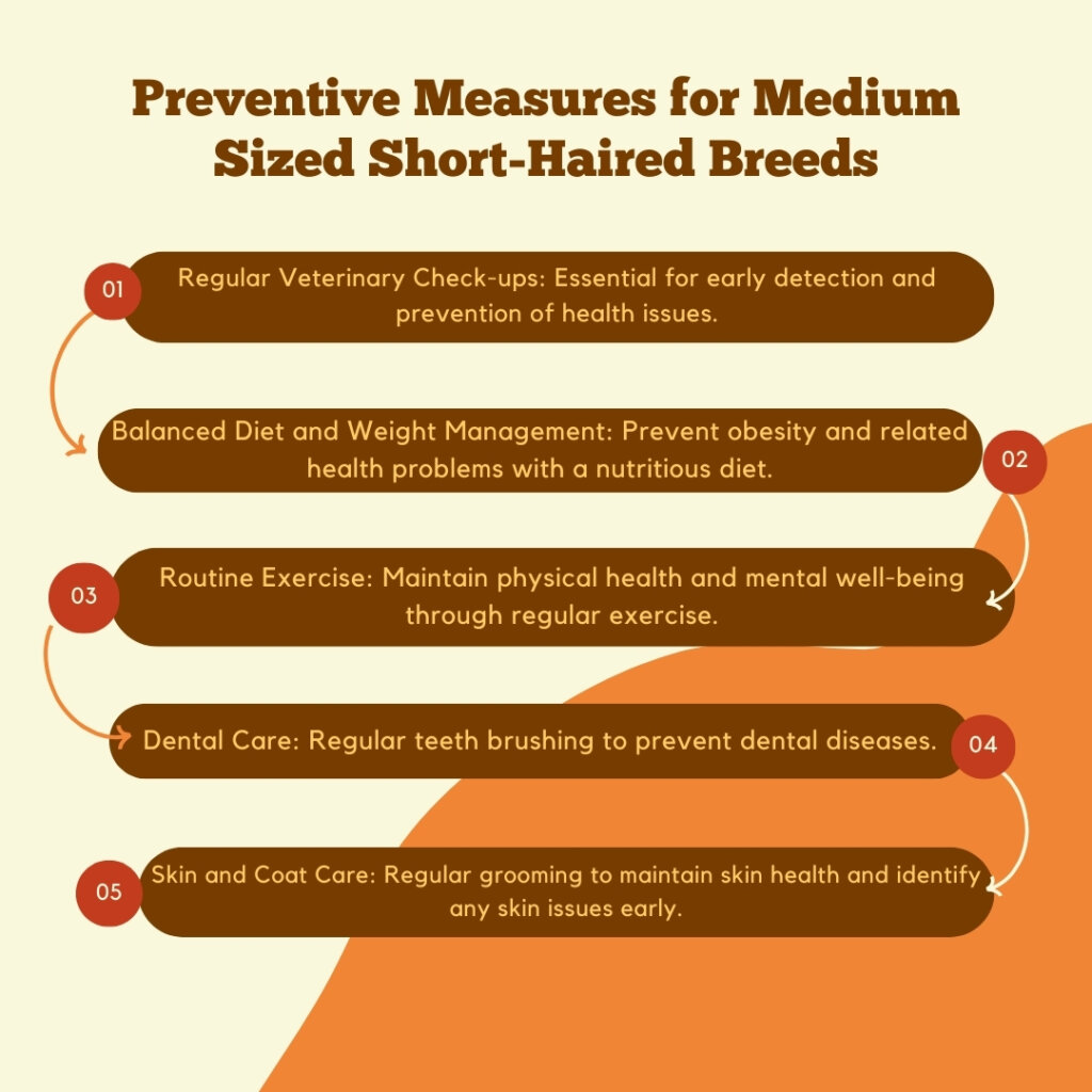 Preventive Measures for Medium Sized Short-Haired Breeds