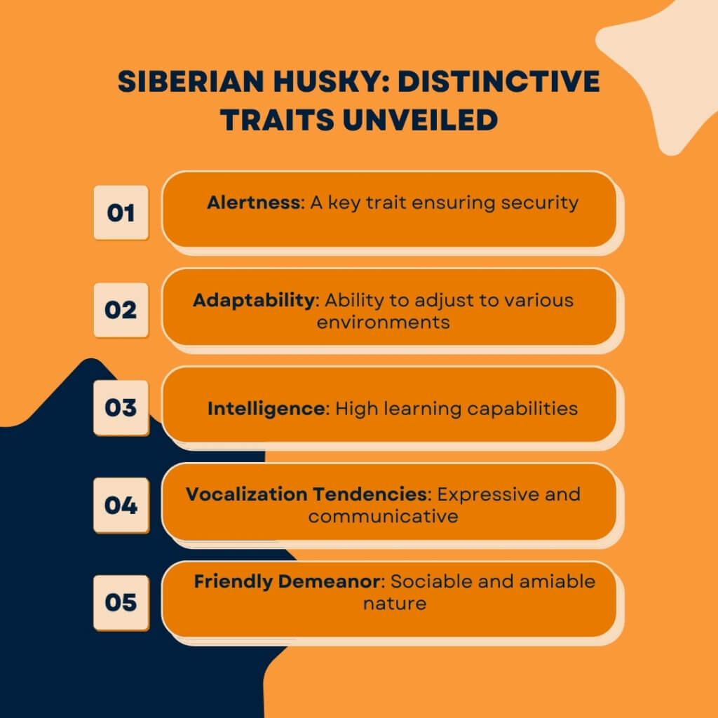 Siberian Husky Distinctive Traits Unveiled