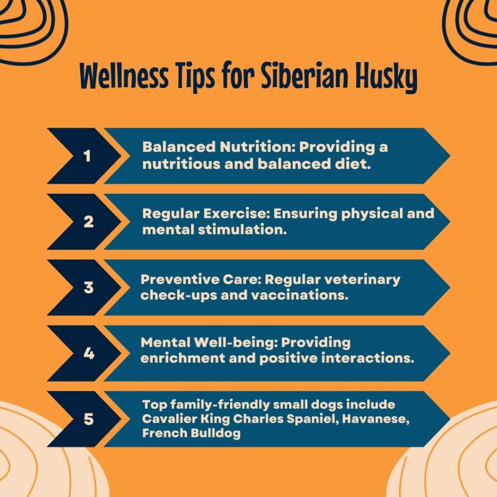 Wellness Tips for Siberian Husky